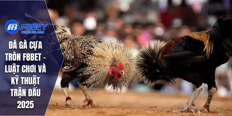 Đá Gà Cựa Tròn