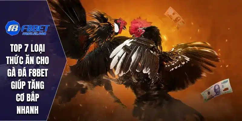 Top 7 Loại Thức Ăn Cho Gà Đá